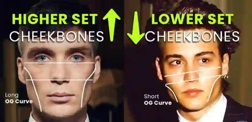 looksmaxing cheekbones