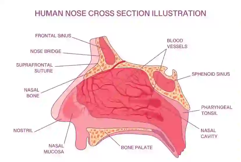 Nose Picking